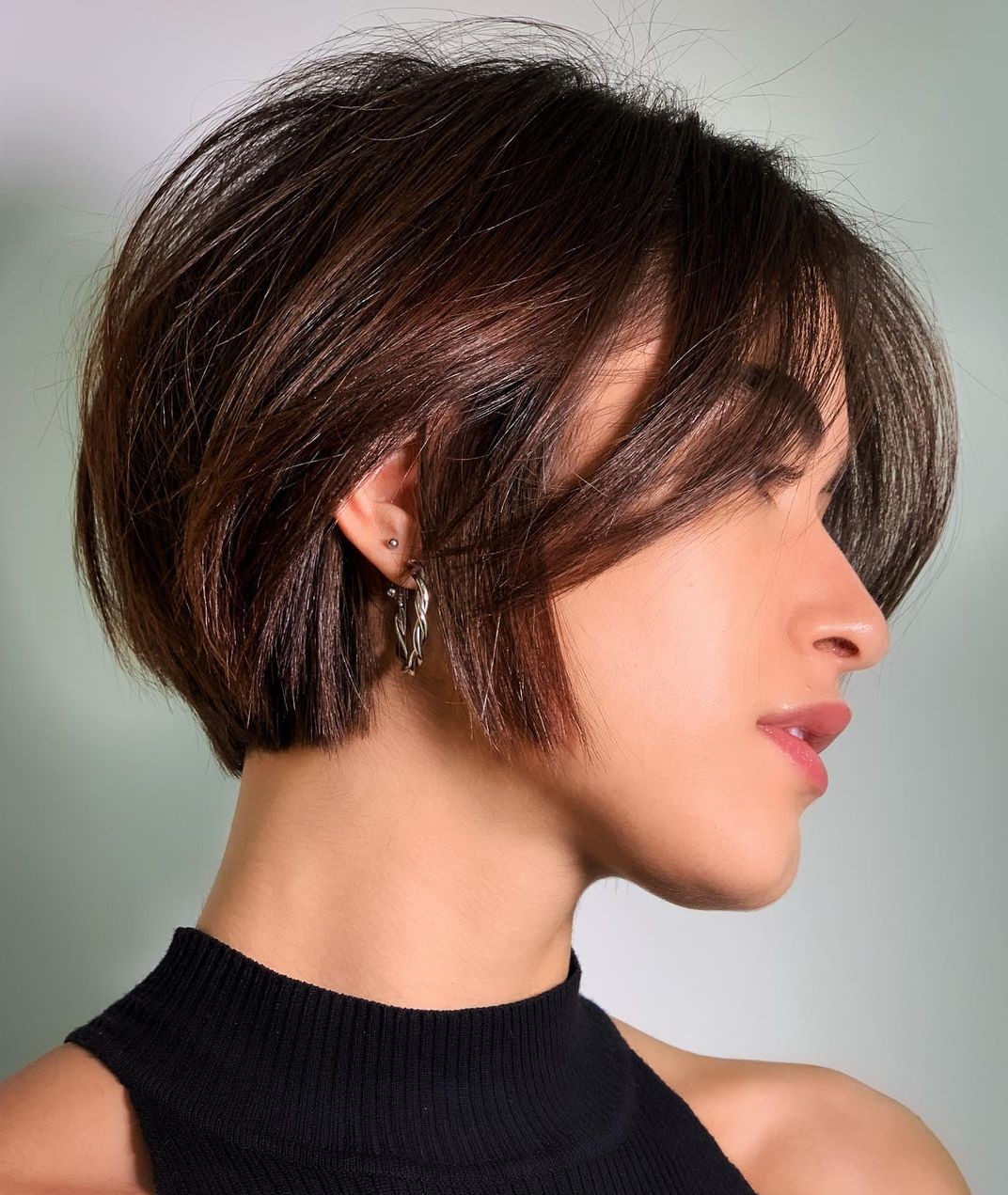 Blunt Chocolate Brown Pixie-Bob