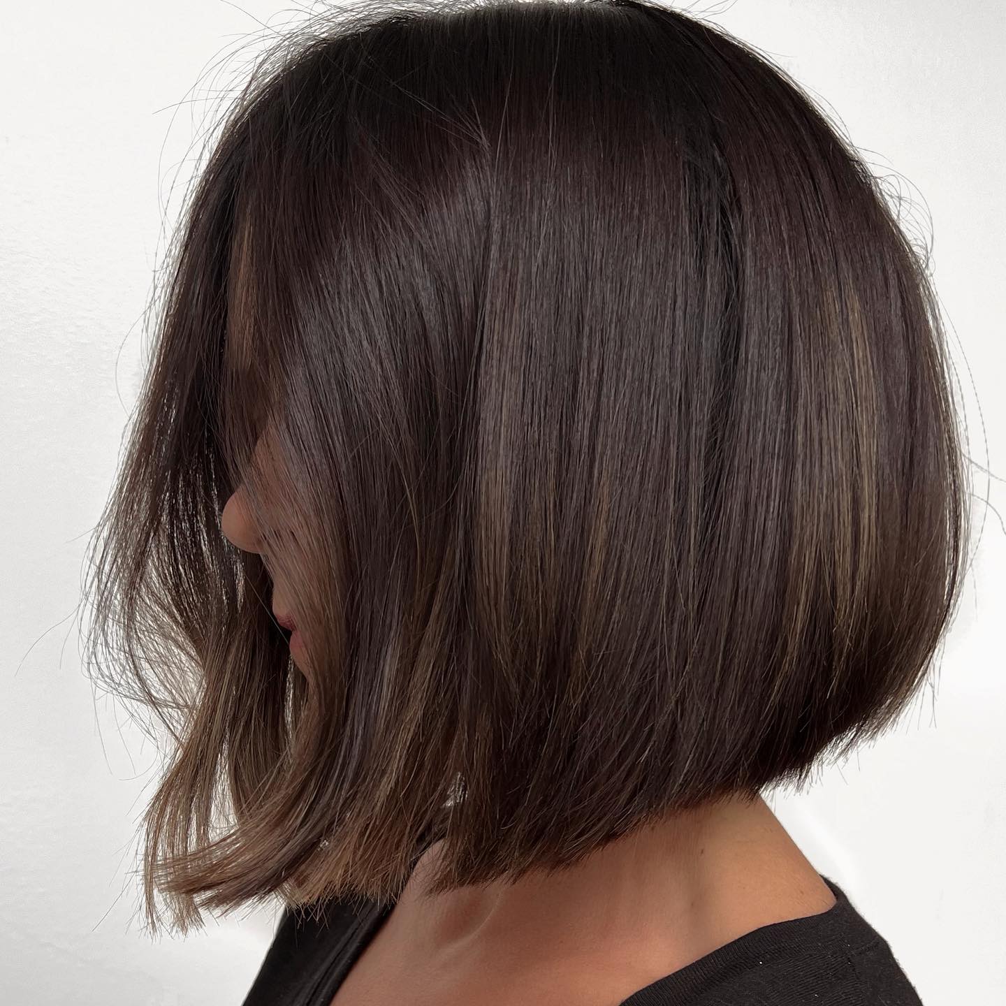 Thick A-Line Brunette Bob Hairstyle